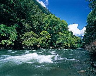 《生化危机8》“萝丝之影”DLC大约4个小时长